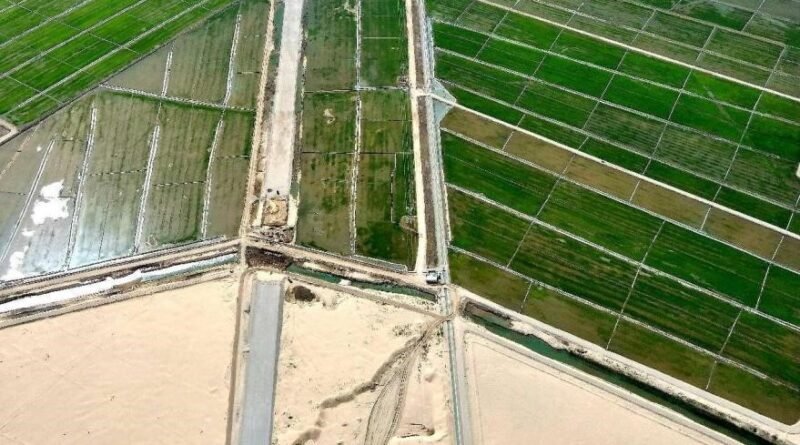 China makes remarkable progress in desertification