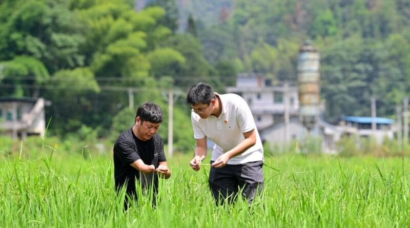 China follows targeted strategy in poverty alleviation