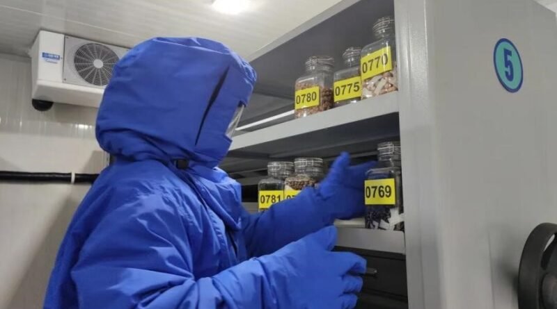 Shanghai seed bank hits 100 million samples in biodiversity conservation push