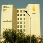 ZTBL demonstrates low-cost ginger cultivation model under olive trees