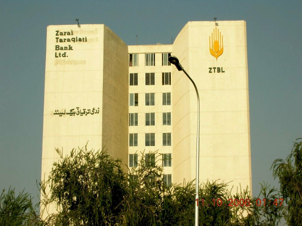 ZTBL demonstrates low-cost ginger cultivation model under olive trees