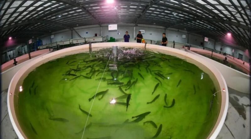 Cold Energy From LNG Powers New Aquaculture and Industry in East China