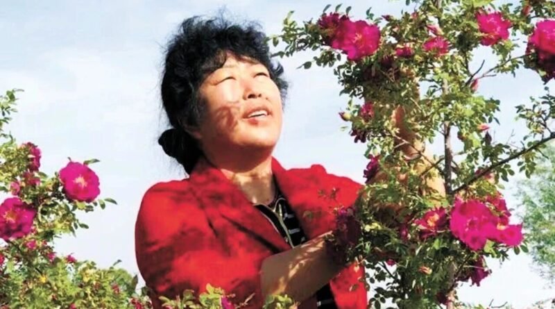 Yin Yuzhen stands near trees planted in China’s Maowusu sandy area as part of decades-long anti-desertification efforts.