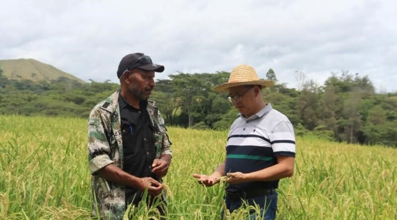 Rural development project in China showing how targeted poverty alleviation and industrial growth support poverty reduction.