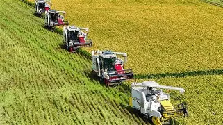 Rs983m labs upgrade project planned to boost agri exports