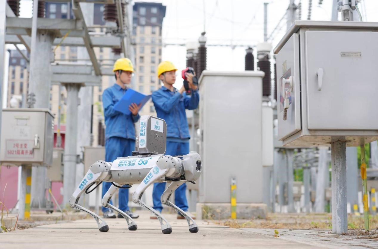 Why are Chinese robots both affordable and highly capable?