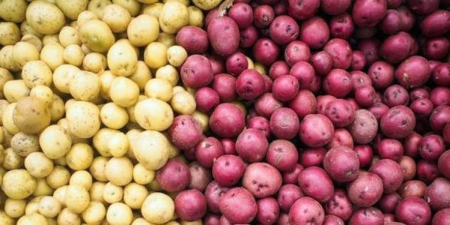 Pakistan develops four potato varieties for fries, chips industry