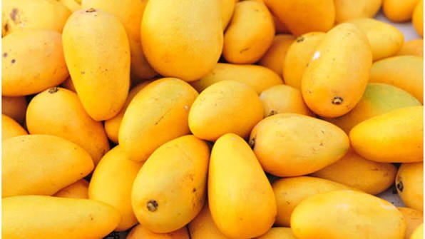 Mango exports from Pakistan cross 44,000 tonnes in 2026 season