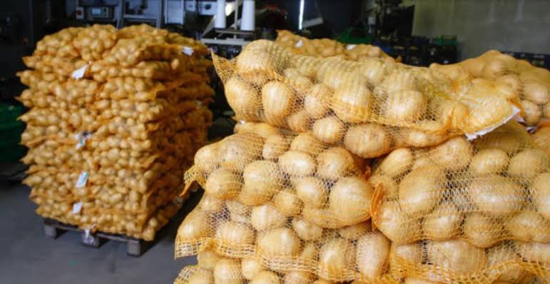 Pakistani potato exports reach 36 markets worldwide