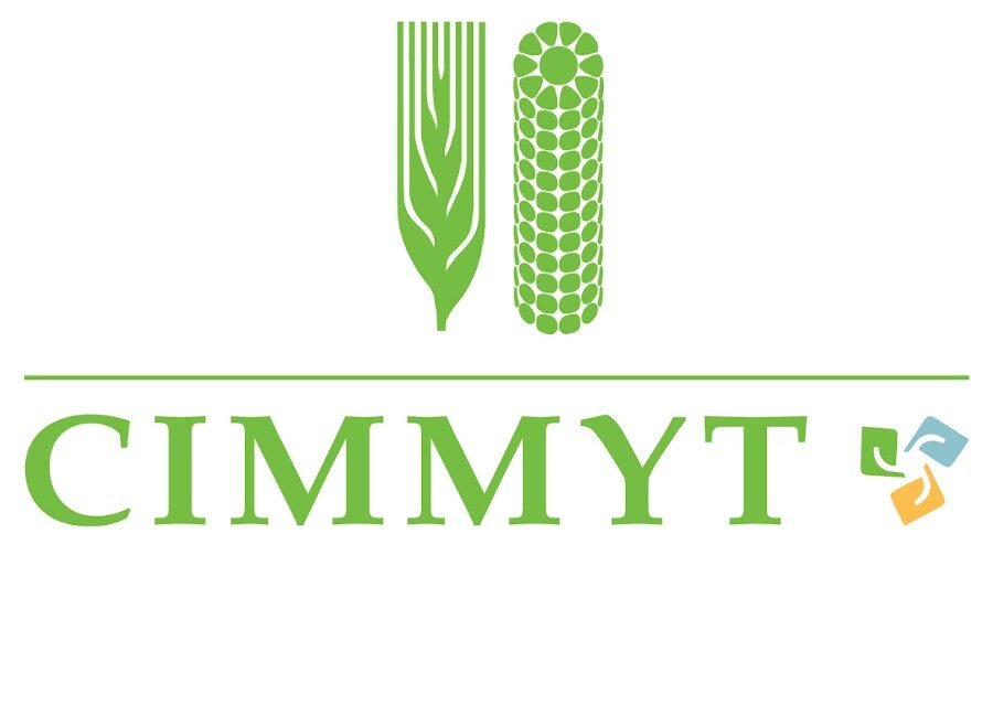 CIMMYT equips Pakistani research institutes to strengthen wheat research