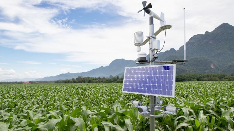 Cholistan and Thal to benefit from Punjab’s £300,000 climate-smart farming initiative
