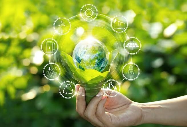Youth climate programme to fund 1,000 green projects, train 5,000 students