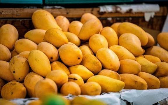 Pakistan earns $107m from fresh mango exports to 49 countries