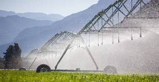 Farmers in Punjab encouraged to conserve water through modern irrigation