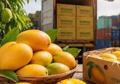 Mango pulp exports bring $1.13 million to Pakistan in FY26