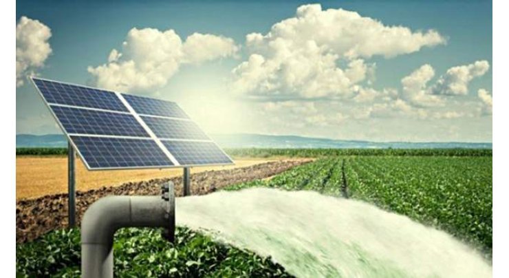 KP to introduce artificial intelligence for smarter irrigation and water conservation